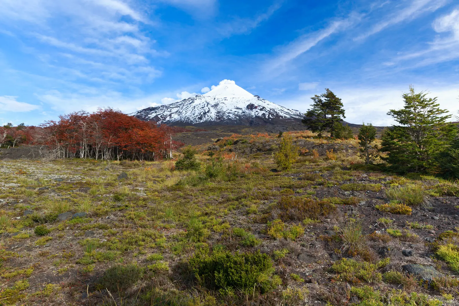 Vulkanlandschaft im Nationalpark Villarrica